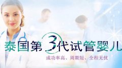 2020年干货出炉为您讲解关于泰国第三代试管婴儿流程。