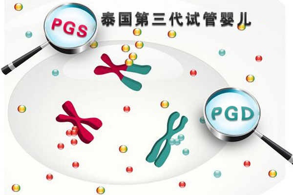 2020年干货出炉为您讲解关于泰国第三代试管婴儿流程。