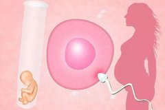 鹤壁姐妹赶乌克兰试管助孕为什么有的人一次就能成功?