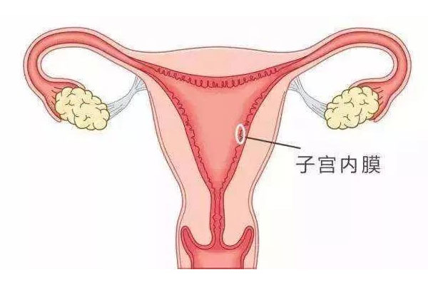 试管婴儿为什么有的人一次就能成功