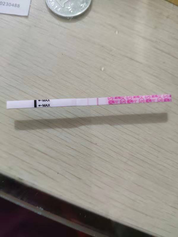 试管婴儿图片