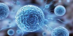 什么是免疫性不孕？免疫性不孕治疗方法有哪些？