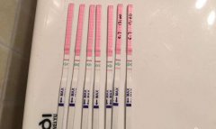 试管移植第10天还是白板是失败了吗？