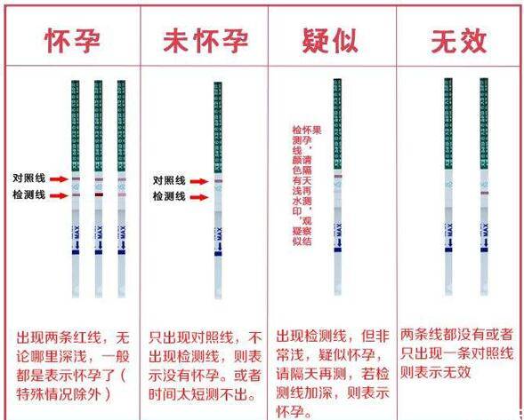 验孕试纸结果