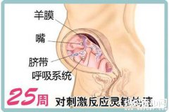 一张怀孕七个月的胎儿图 解秘7个月胎儿的发育情况