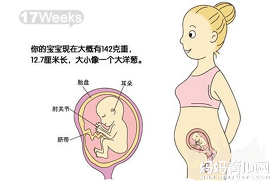 怀孕5个月肚子有多大因人而异 17