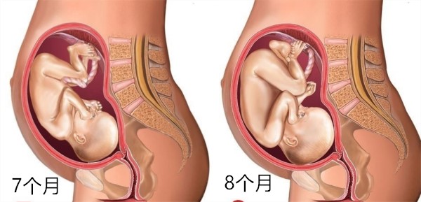 怀孕1～10月肚子变化 图文解读胎儿发育全过程 