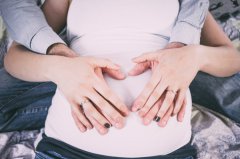 孕妇梦见狗是什么意思 最全的解释全都在这里了