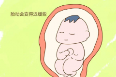 生男生女测试方法，怎么判断胎儿性别