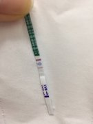 算生男生女怎么算？胎儿性别是怎么形成的？