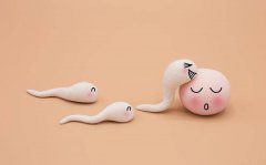 抗结剂方案是什么意思？