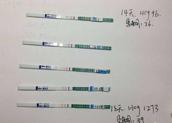 囊胚第8天白板却成功案例