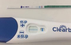 囊胚移植第九天白板是不是失败了