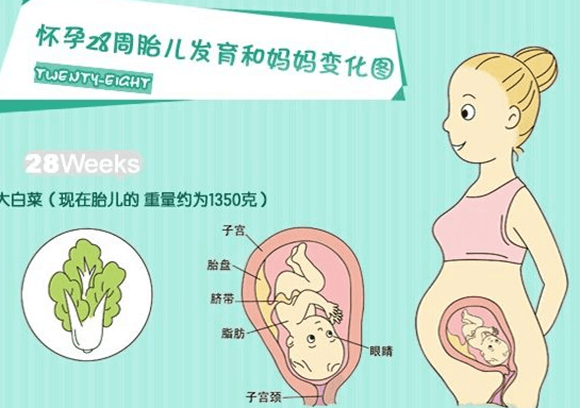怀孕六个月能打胎吗？这是妇产科医生给出的最佳建议 