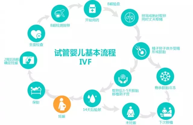 试管婴儿自然周期移植步骤