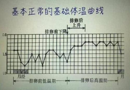 这5大方法教你自测排不排卵  你都知道吗