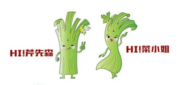 备孕期间可以吃芹菜吗？