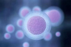 得了原发性卵巢功能不全（POI），还能正常怀孕吗？