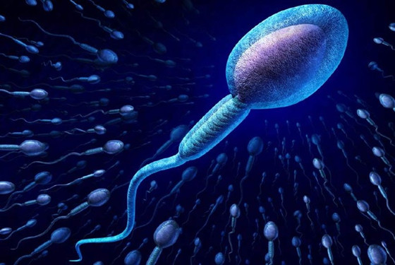 精子在体外能存活多久 想要怀孕的人一定要看 