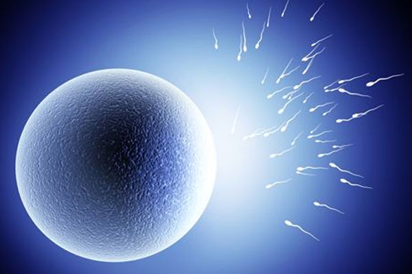 如何提高备孕男性精子质量？