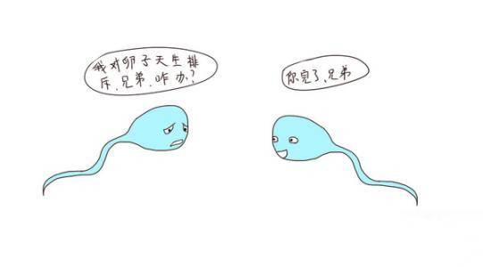 免疫性不育_副本.jpg