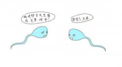 免疫性不育怎么检查?