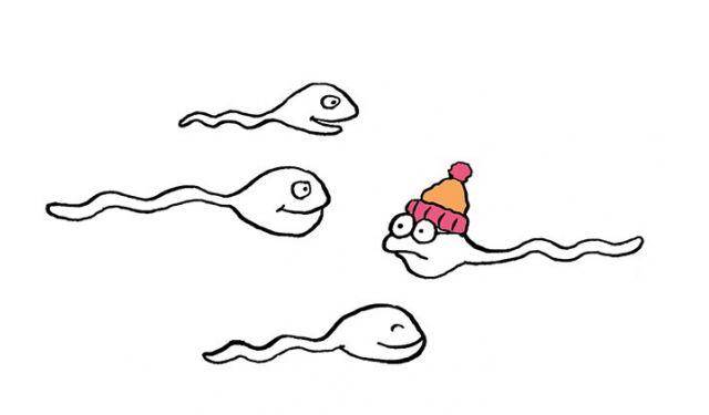 精子.jpg