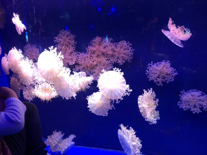 试管婴儿图片