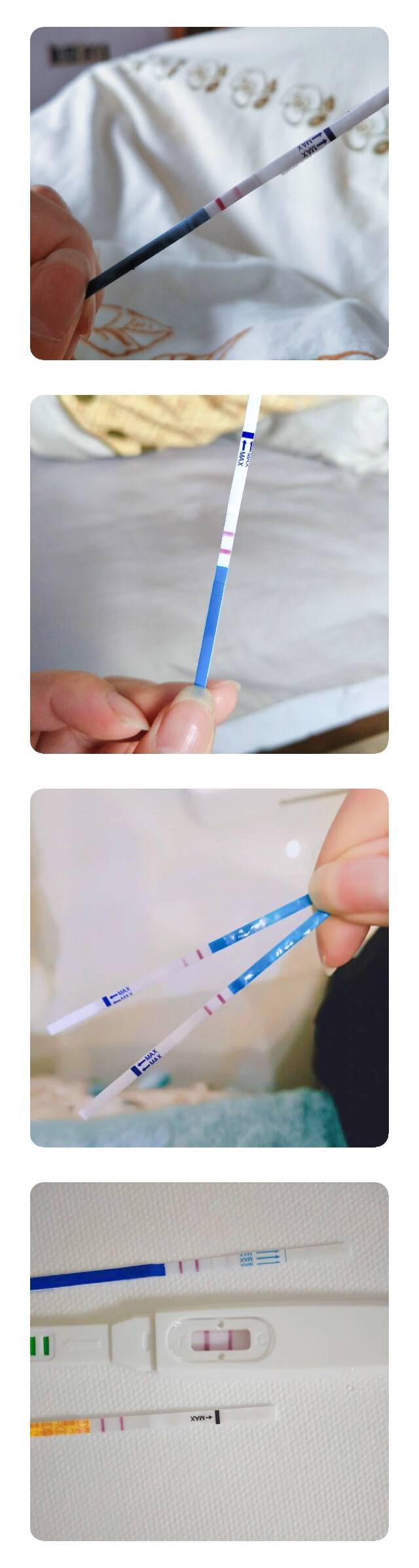 cf54e2F5CD3386251C1BA8FDBCA946C1B9CD6.png