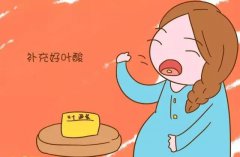 女性备孕吃叶酸 男性备孕吃什么好?