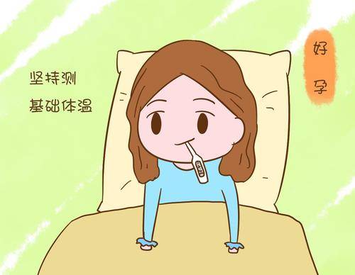 什么是基础体温?
