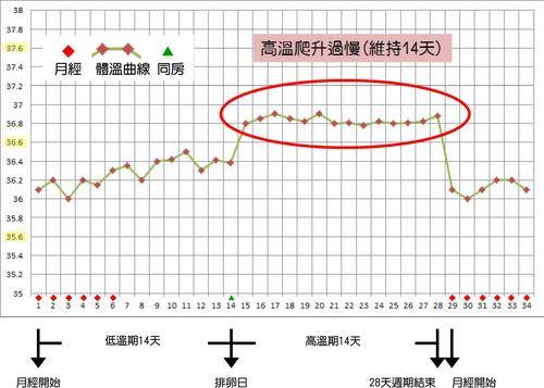 什么是基础体温?