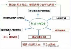 多囊卵巢降低体重5-10%可以使80%以上的患者恢复排卵