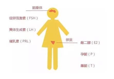 高雄激素血症的症状