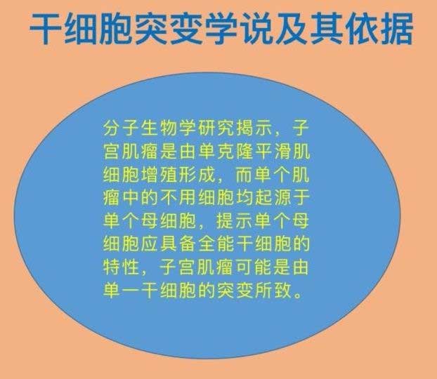 为什么会长子宫肌瘤