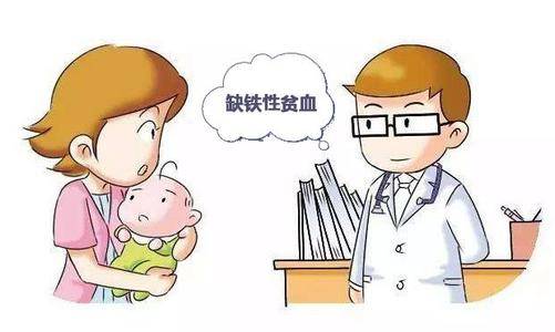 孕期吃什么补铁