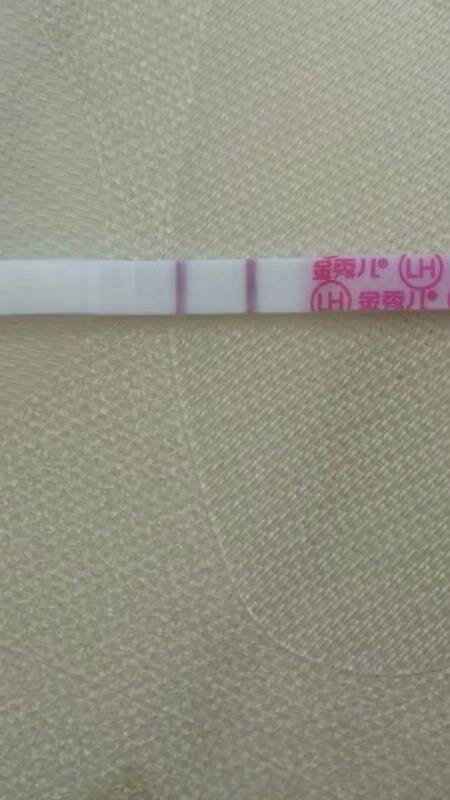 试管婴儿图片