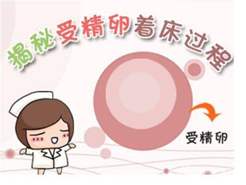 受精卵着床激素变化