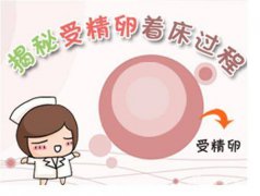 受精卵着床后的激素变化及参考值
