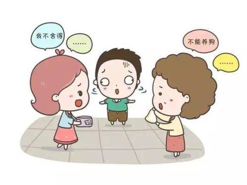 科学证明孕妇能养狗吗  看完你就知道了
