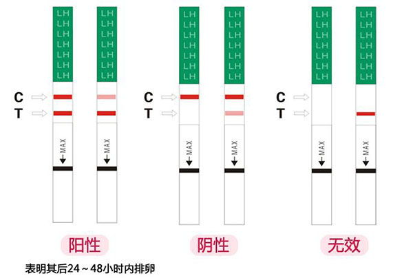 从排卵试纸强阳和弱阳的对照图片 判断排卵的具体时间 
