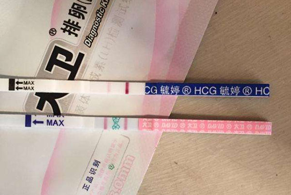 从排卵试纸强阳和弱阳的对照图片 判断排卵的具体时间 