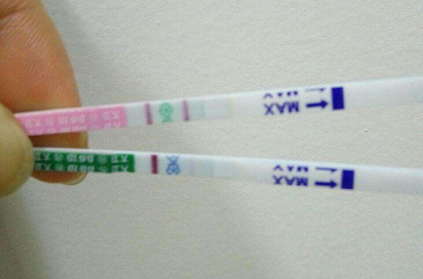 从排卵试纸强阳和弱阳的对照图片 判断排卵的具体时间 