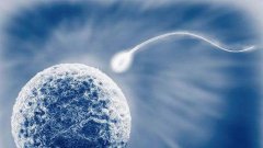 男性精子畸形率高做试管婴儿成功率高吗?