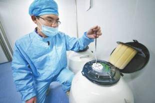 冷冻胚胎费用是按个收费吗  需要多少费用