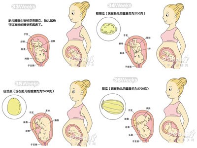 怀孕九个月胎儿图（b超图） 