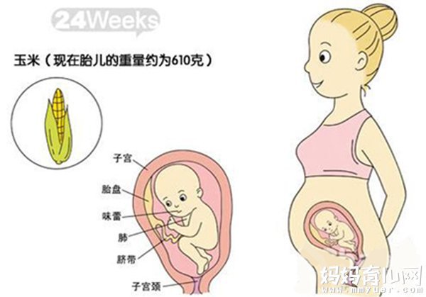 六个月的胎儿图什么样 五张胎儿图来解读 