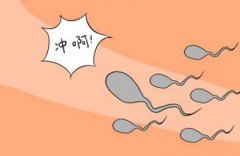 生男孩备孕前要准备什么，生男孩吃什么碱性食物？