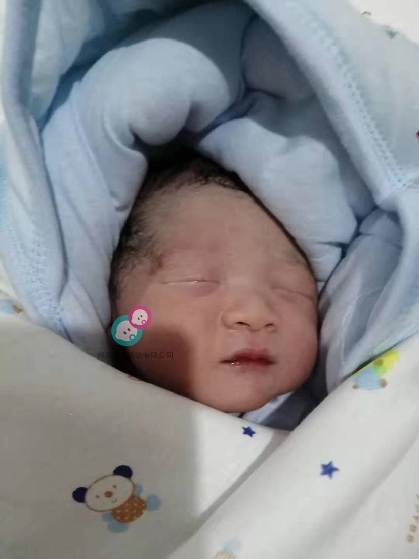 试管婴儿图片