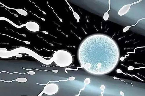 解析|美国试管婴儿技术中应当怎样评估女性生育能力呢?